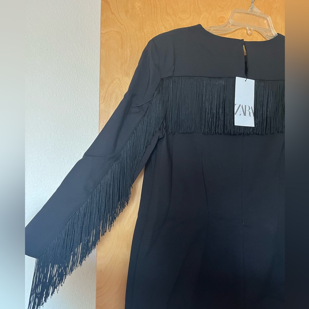 Zara Fringe Dress